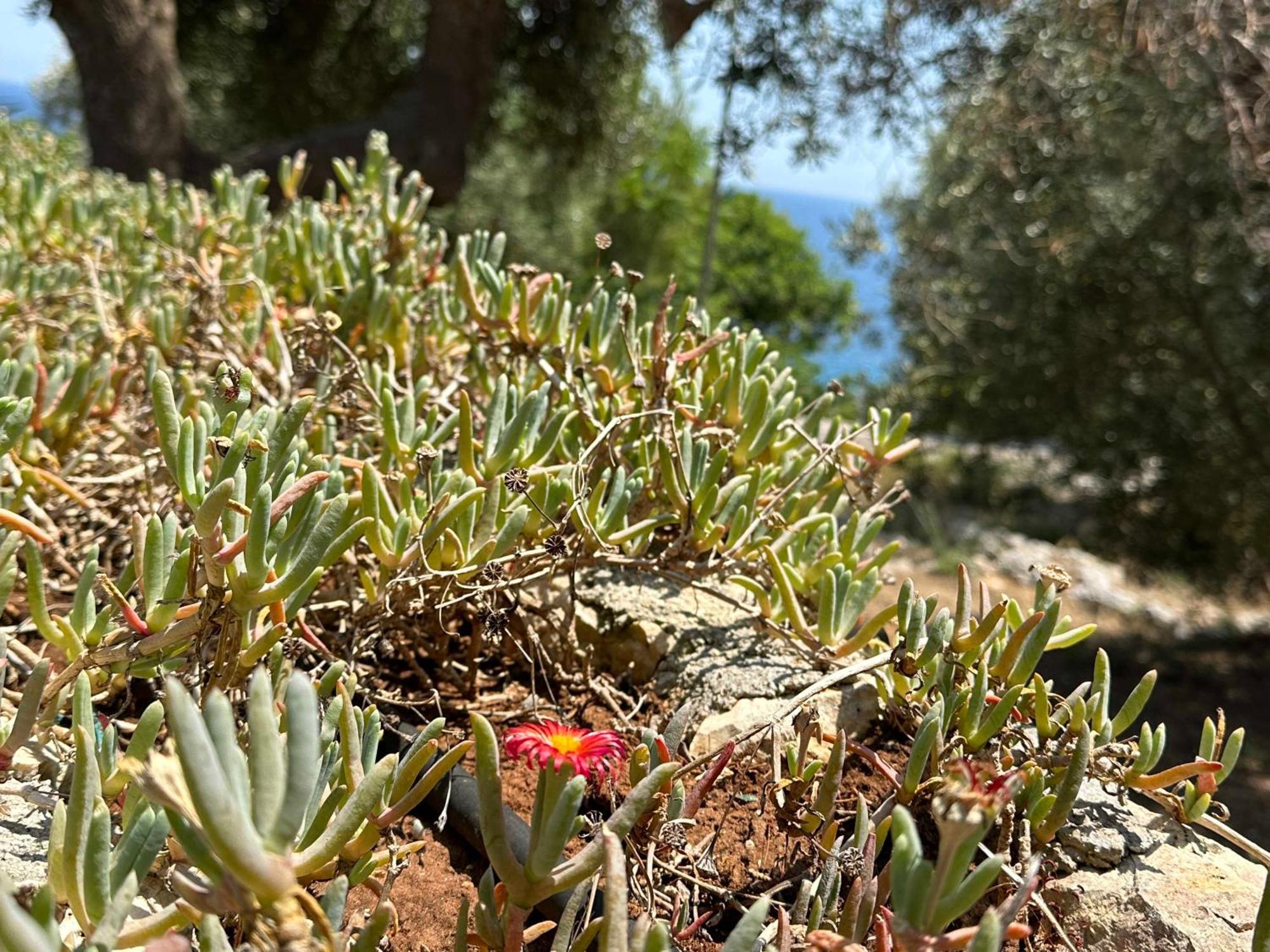 Villetta Dagre Fronte Mare 马里蒂玛 外观 照片